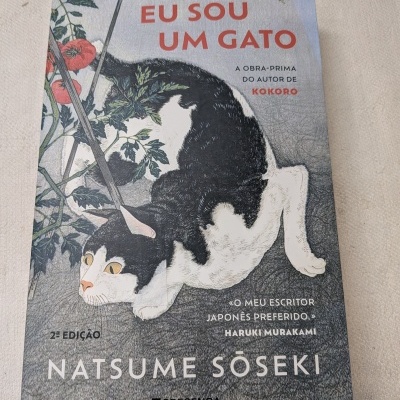 Capa de livro com ilustração de gato preto e branco e texto em português.