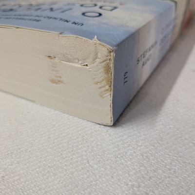 Livro com capa azul clara com canto danificado e sujo