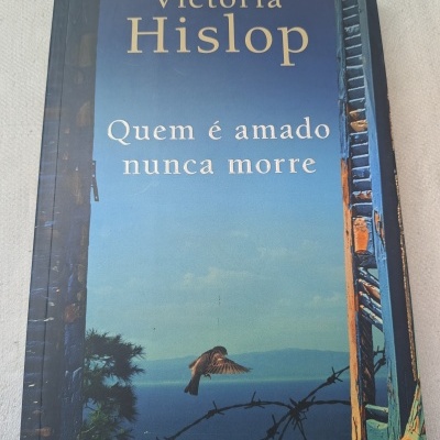 Capa de livro azul com janela velha, pássaro e título em português