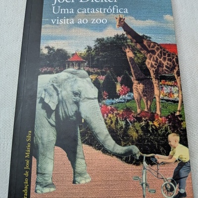 Capa do livro Uma catastrófica visita ao zoo com elefante, girafas e menino com bicicleta.