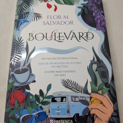 Capa do livro Boulevard por Flor M. Salvador com ilustração colorida e texto descritivo