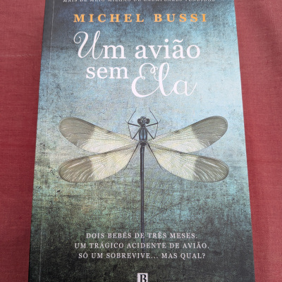 Capa de livro azul com uma libélula e texto em português