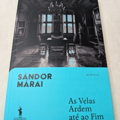 Capa de livro com imagem de sala clássica e parte inferior azul com texto e logo D. Quixote