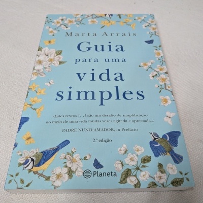 Capa de livro azul claro com flores brancas e amarelas e pássaros azuis com texto do título e autor