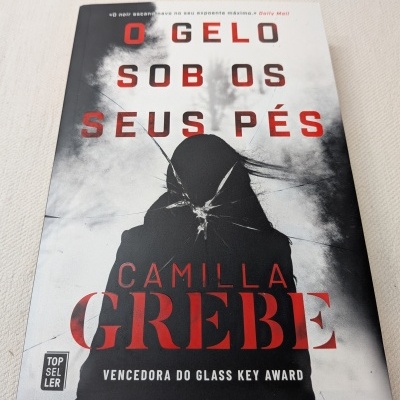 Capa do livro O GELO SOB OS SEUS PÉS de Camilla Grebe com silhueta e rachadura no centro