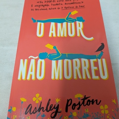 Capa de livro cor de laranja com pessoas azuis a ler e texto O AMOR NÃO MORREU