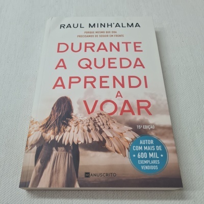 Capa do livro 'Durante a Queda Aprendi a Voar' com imagem de pessoa com asas e texto em português.