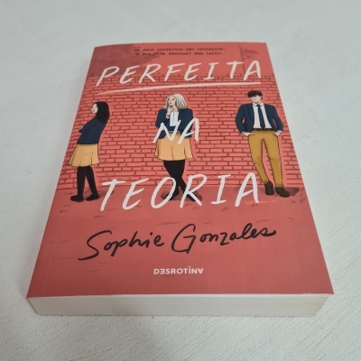 Capa do livro 'Perfeita na Teoria' com três jovens ilustrados em fundo cor de tijolo