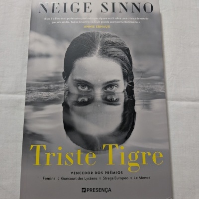 Livro 'Triste Tigre' de Neige Sinno com capa cinzenta e fotografia preto e branco de mulher na água