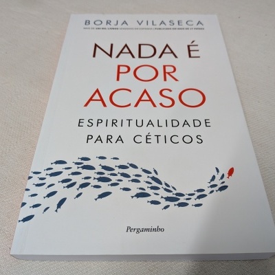 Capa de livro 'NADA É POR ACASO' com ilustração de cardume de peixes