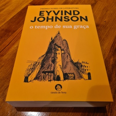 Livro amarelo com ilustração e texto em português numa superfície de madeira.