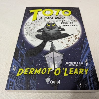 Capa de livro com gata negra sobre poste e lua cheia