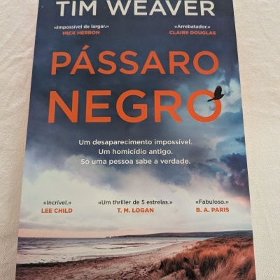 Capa de livro Pássaro Negro de Tim Weaver com paisagem costeira e texto em português.