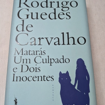 Capa de livro azul claro com texto preto e silhuetas azuis de rapariga e cão.