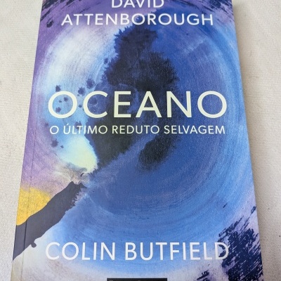 Capa de livro azul e púrpura com texto e arte abstrata.