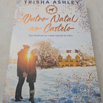 Capa de livro com casal na neve e castelo ao fundo