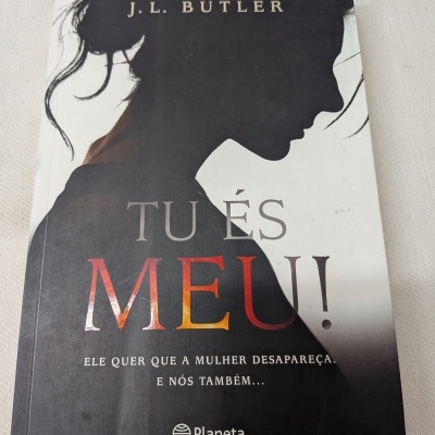 Capa de livro com silhueta de mulher e texto em português.