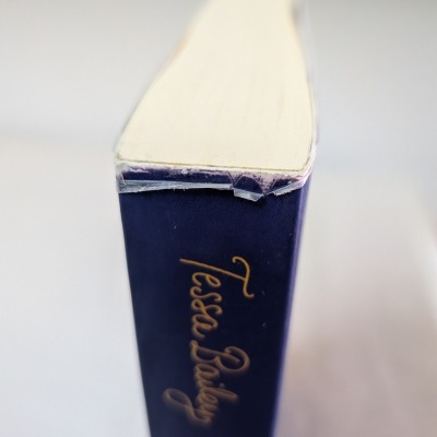 Livro azul escuro com lombada dourada e proteção plástica