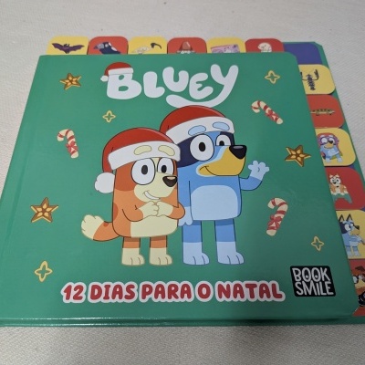 Livro infantil azul e bege com capa verde e tema de Natal