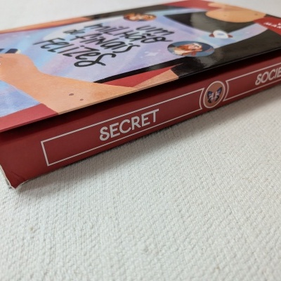 Livro capa ilustrada 'um milhão de coisas felizes' com lombada vermelha 'SECRET SOCIETY' sobre superfície branca