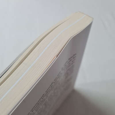 Livro de capa branca visto de lado com páginas amarelas