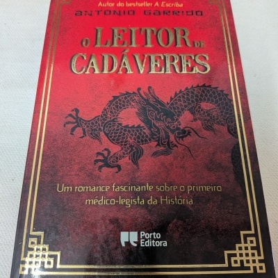 Capa vermelha de livro com dragão preto e texto dourado e amarelo
