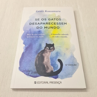 Capa de livro branco com ilustração de gato e texto em azul e amarelo.