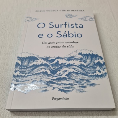 Capa de livro 'O Surfista e o Sábio' com ilustração de ondas azuis sobre fundo branco