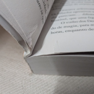 Livro aberto com páginas brancas e texto em português, sobre tecido bege.