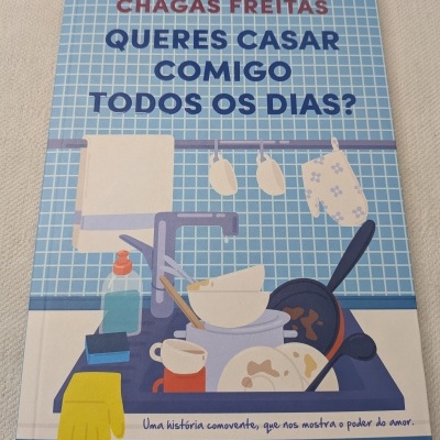Capa de livro azul com pia cheia de loiça e texto em português