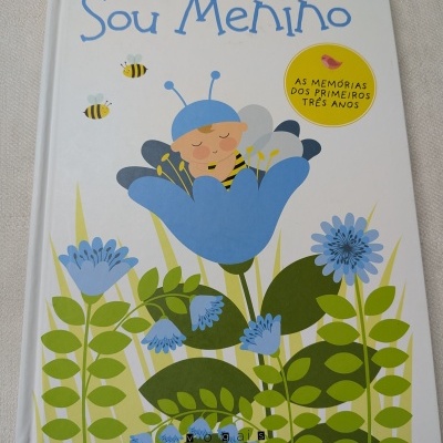 Livro infantil com capa ilustrada de criança vestido de abelha numa flor azul.