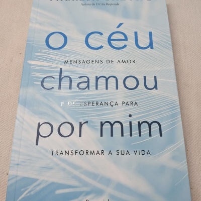 Capa de livro azul claro com texto e padrão de penas brancas