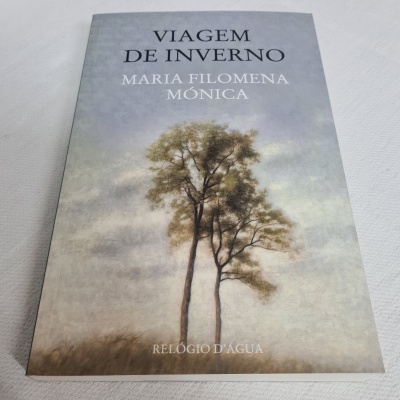 Capa de livro 'Viagem de Inverno' com imagem de duas árvores e fundo cinzento nublado