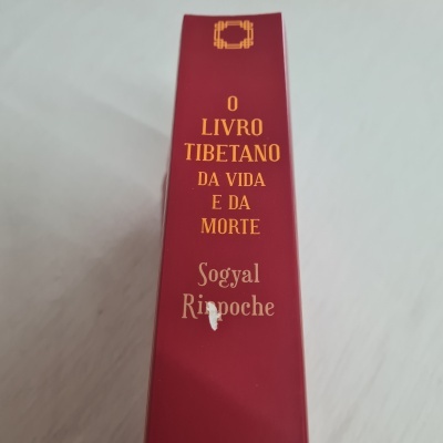 Lombada de livro vermelho com texto amarelo e branco