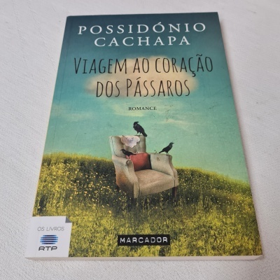 Livro 'Viagem ao Coração dos Pássaros' de Possidónio Cachapa com capa ilustrada por poltrona e pássaros no campo