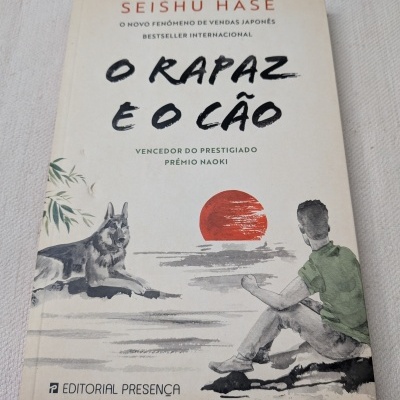Capa de livro O RAPAZ E O CÃO com ilustração de rapaz e cão em tons de cinza e sol vermelho.