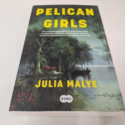 Capa do livro 'PELICAN GIRLS' com ilustração de rio e árvores