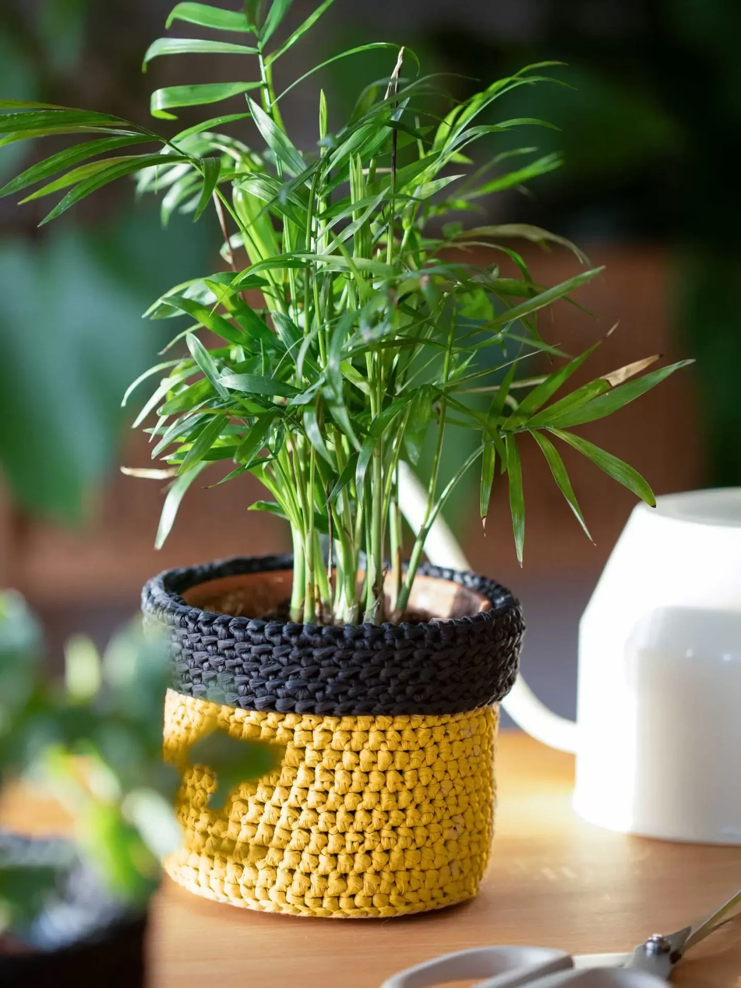 Planta em vaso com capa crochetada amarela e preta sobre mesa