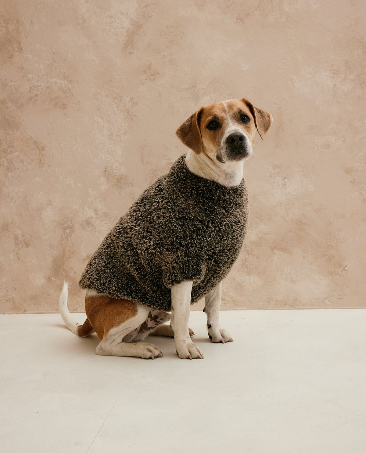 Cão com suéter cinzento felpudo sentado em chão claro com parede bege