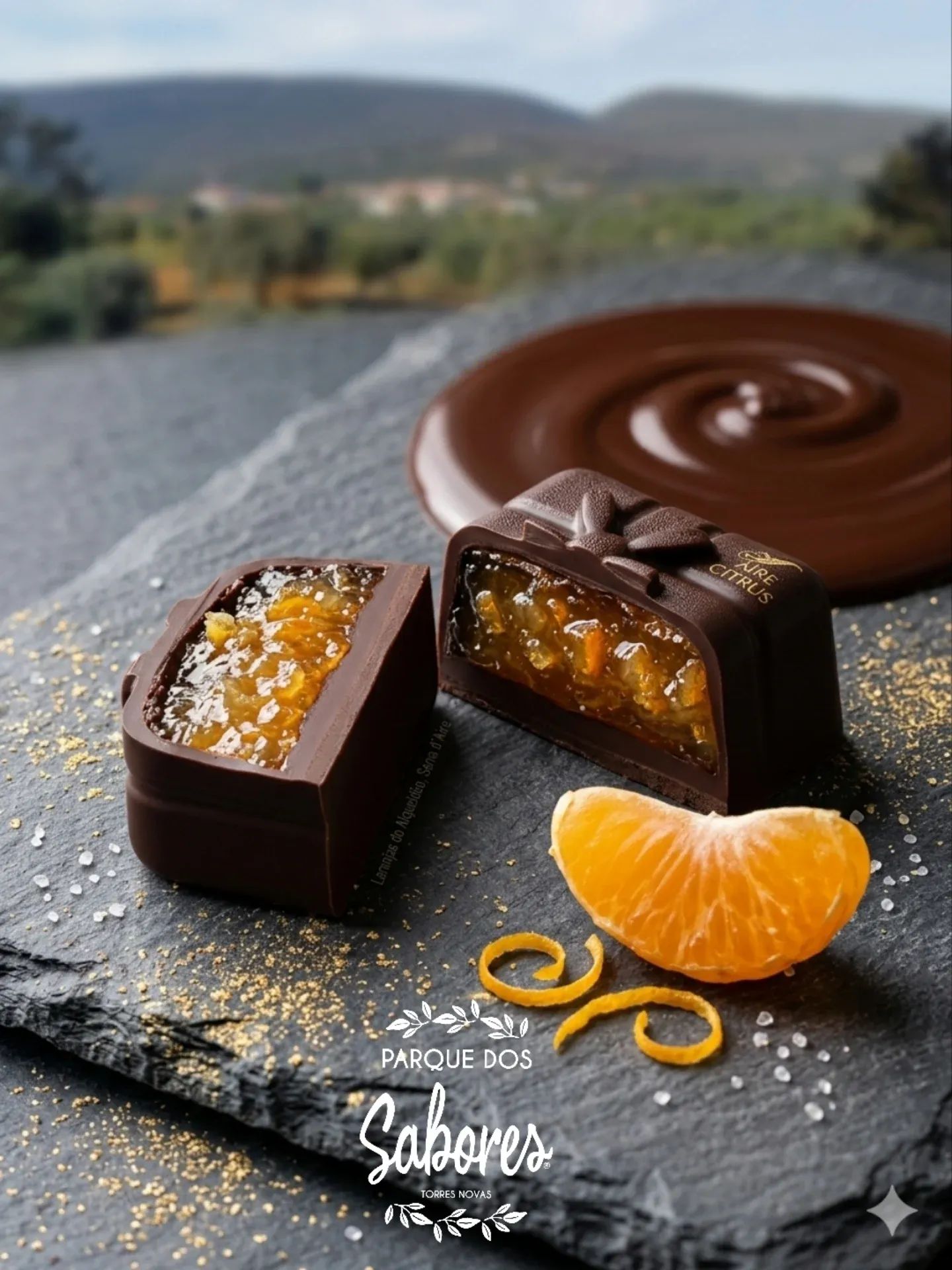 Bombom Citrus D'aire (Chocolate Negro e Laranja do Alqueidão) Bombons de chocolate com recheio de fruta cítrica em placa de ardósia com tangerina e raspas.