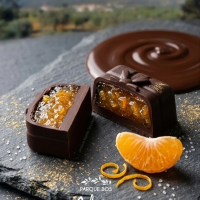 https://www.parquedossaboresgourmet.pt/product/bombom-citrus-d-aire-chocolate-negro-e-laranja-do-alqueidao