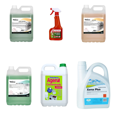 Seis produtos de limpeza variados incluindo bidões grandes e frascos com rótulos visíveis