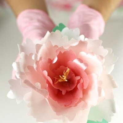 Mãos com luvas rosa segurando flor artificial de papel em tons de rosa e branco