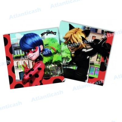 Cadernos com capas de Ladybug e Cat Noir em fundo urbano