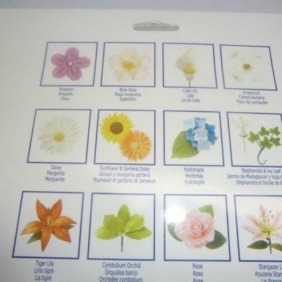Cartolina com doze imagens de flores identificadas por nomes em inglês e espanhol