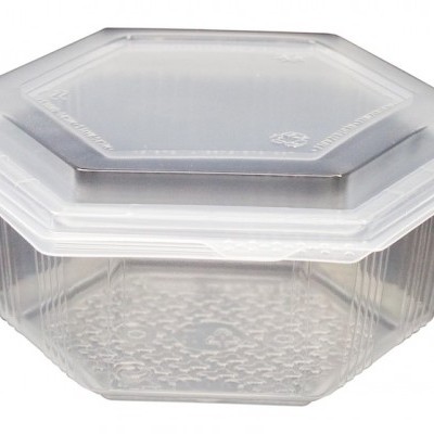Recipiente plástico transparente com tampa poligonal