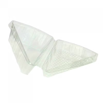 Estojo triangular transparente em plástico rígido com textura interior