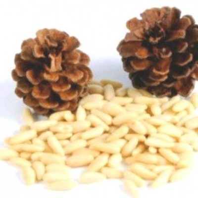 Dois pinhões castanhos e vários pinhões pequenos creme sobre fundo branco