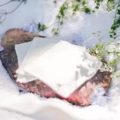 bifes com queijo sobre gelo e flores verdes