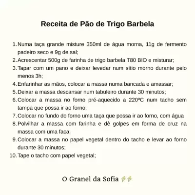 Texto com receita de pão de trigo barbela em português sobre fundo branco